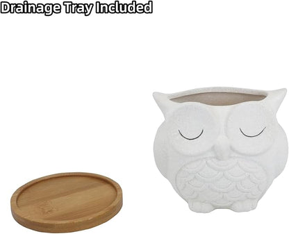 Cute Owl Succulent Planter Pot with Drainage Tray, Large White Ceramic Flower Cactus Container, Animal Shaped Indoor Air Plants Holder