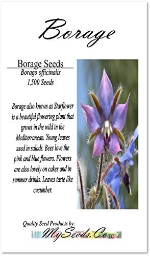 Big Pack - Borage, Borago officinalis Seeds (1,500 Seeds) - Edible Flower Seeds (Big Pack - Borage)