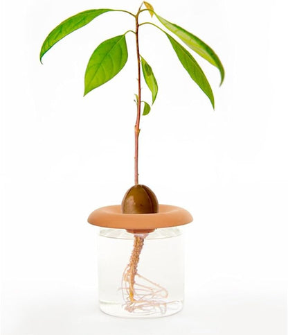 Kikkerland Eco Friendly Terracotta Growing Seed Starter Sprouters Germination Plant Plates Indoor/Outdoor Plants