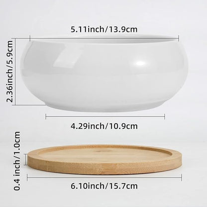 ZOUTOG 2 Pack Succulent Pots, 6 inch Ceramic Planters for Indoor Plants with Bamboo Tray, Pots with Drainage, Seeds＆ Plants Not Included
