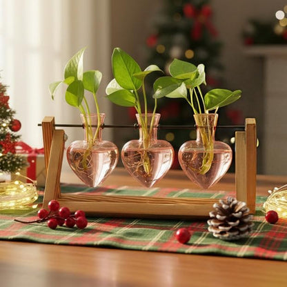 XXXFLOWER Plant Terrarium Propagation Stations Unique Gifts for Women Wife Mom Plant Lovers 3 Heart Shaped Vases for Hydroponics Home Garden Office Decor(Plants NOT Included)