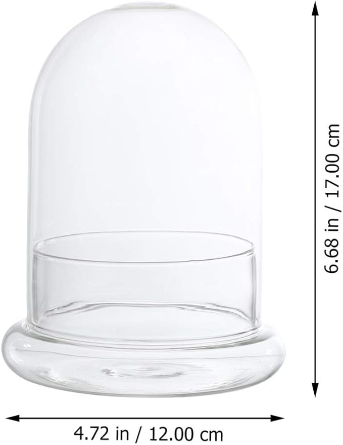 DOITOOL Glass Cloche Dome Bell Jar with Airhole and Base: 2 PCS Glass Terrarium Planter Container Decorative Clear Terrarium Planter for Plants, Collectibles, 4.2 X 4.2 X 6.7 Inches