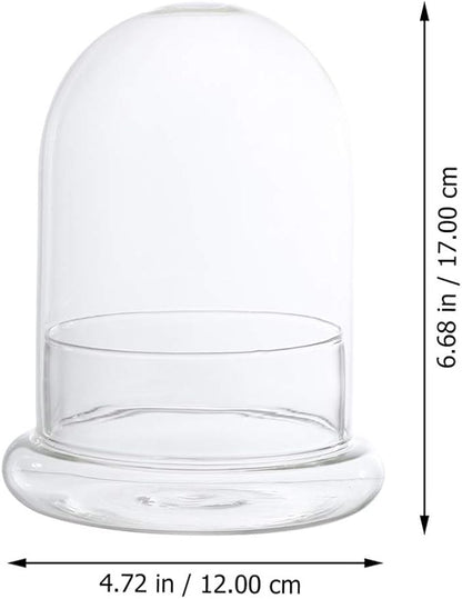 DOITOOL Glass Cloche Dome Bell Jar with Airhole and Base: 2 PCS Glass Terrarium Planter Container Decorative Clear Terrarium Planter for Plants, Collectibles, 4.2 X 4.2 X 6.7 Inches