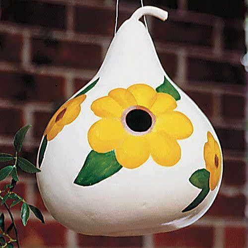 Park Seed Birdhouse Gourd Seeds, Pack of 25 Seeds