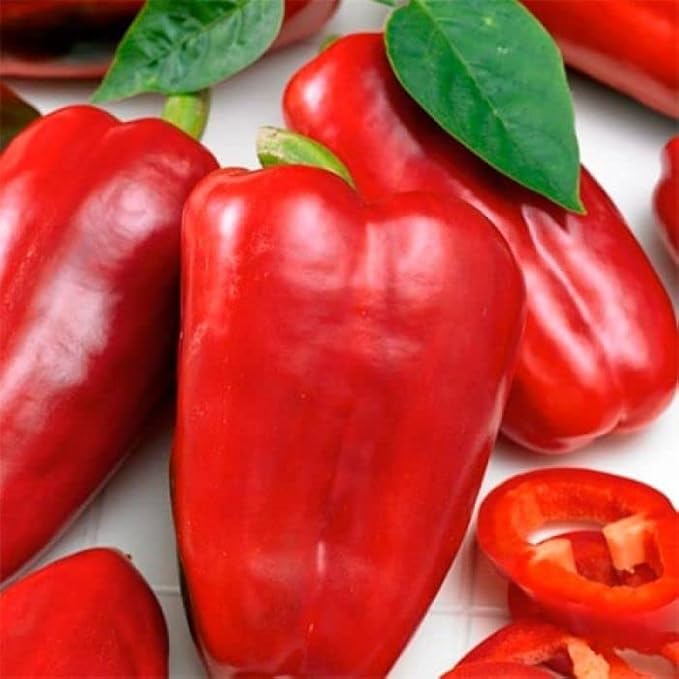Seeds Sweet Bell Pepper Red Giant Non GMO Heirloom