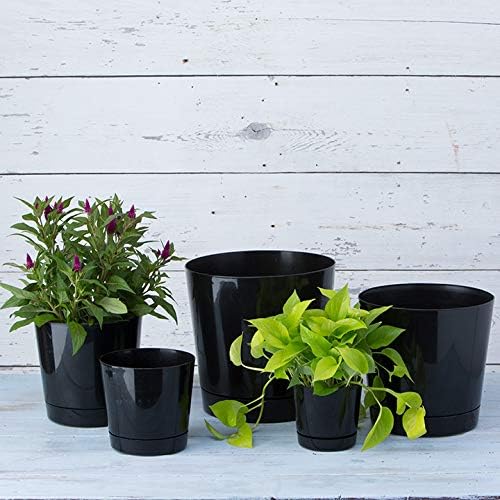 Root & Vessel Majestic Full Depth Round Cylinder Pot, Glossy Black, 8-Inch (10088)