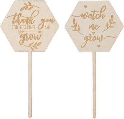 Watch Me Grow Succulent Tags, 36pcs Hexagon Plant Stakes Labels Baby Shower Succulent Tag for Seed Flowers Garden Potted Plants