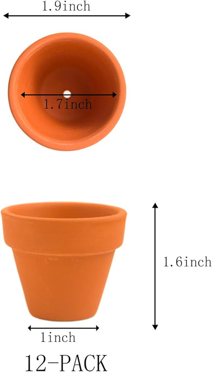 Mini Terracotta Clay Flower Pots 2 inch with Drainage Holes for for Tiny Cactus Herb lithop,Small Succulent Planter Nursery Plant Pot for Home Garden Table DIY Hand Craft Gift Decoration-12 Pack