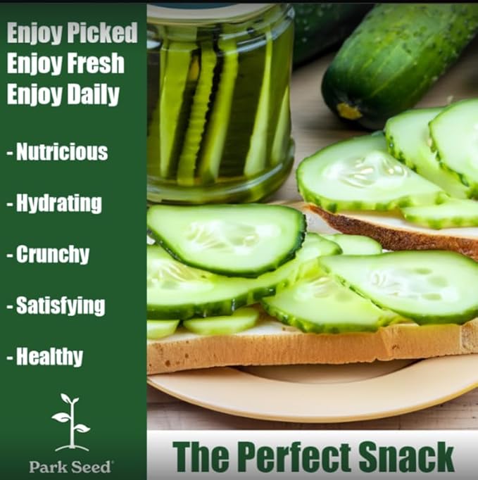 Park Seed Variety of Cucumber Seeds, Planting Cucumbers, Vegetable Seeds, Easy to Grow, Non-GMO, Perfect for Harvesting, Garden Sweet Burpless, Pack of 30