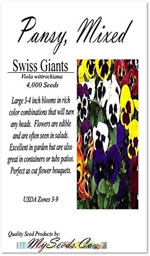 Big Pack - Pansy, Mixed Flower Seed (4,000 Seeds) - Viola wittrockiana 'Swiss Giants' - Edible Flower Seeds (Big Pack - Pansy Mix)