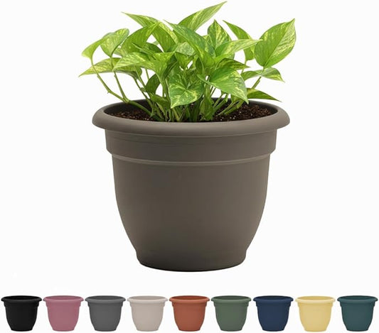 Bloem Ariana 10" Peppercorn Round Self-Watering Resin Planter Pot - Rolled Rim Indoor and Outdoor Gardening Planter