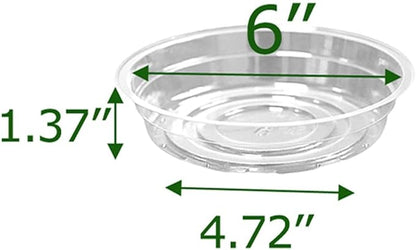 TRUEDAYS 6 Inch 5 Pack Clear Plant Saucers Flower Pot Tray Excellent for Indoor & Outdoor Plants
