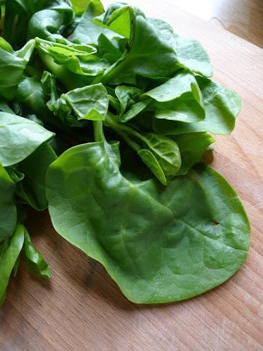 TomorrowSeeds - Giant Malabar Spinach Seeds - 50+ Count - for 2026 Planting USA Garden Green Vegetable Plant Leaf Kale Lettuce Bloomsdale Cabbage Non-GMO Heirloom Grow Your Own Home Farm Patio