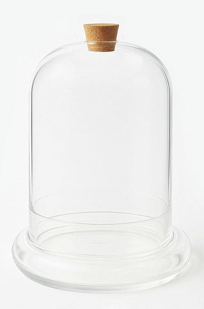 Handblown 12" Glass Terrarium with Opening for Air Flow & Cork Stopper Cloche Style Glass Dome Vivarium Display Case (Extra Large)