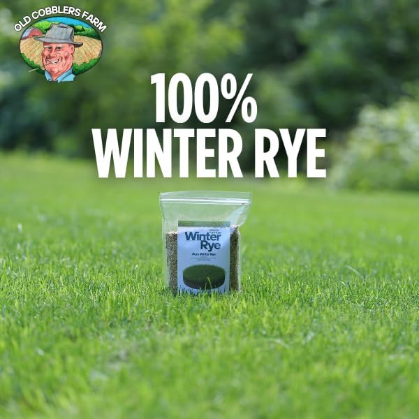 Old Cobblers Farm™ Wicked Tuff Turf Winter Rye for Lawn No Till Food Plot Seed Fall Cover Crop Mix (5 lbs | 10 lbs | 15 lbs | 20 lbs) (20 lb)