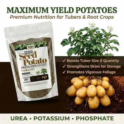 Old Cobblers Farm™ Wicked Growth Seed Potato Fertilizer-Strengthens Roots, Boosts Yields, and Supports Healthy Potato Growth with Eco-Friendly, Slow-Release Nutrients. (5/10/15/20 lbs) (5 lbs.)