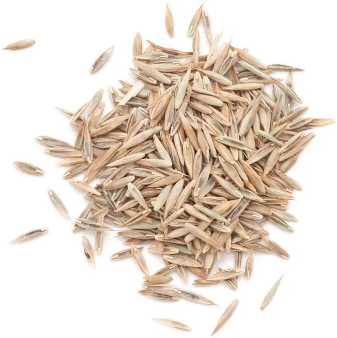 Contractors Choice Grass Seed - Premium Grass Seeds for Lawn - Ideal for Full Sun and Shade - 10 lb Grass Seed