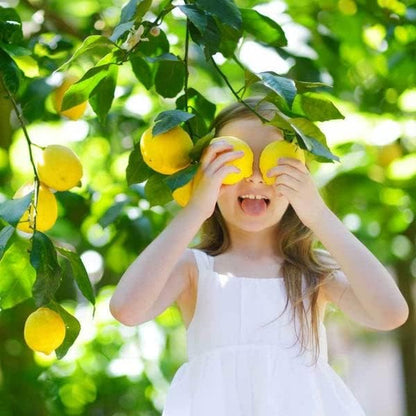 Gardenera's Premium Lemon Tree Soil Mix - Perfect Drainage and Nutrient Retention for Citrus Limon Trees - 20 Quart