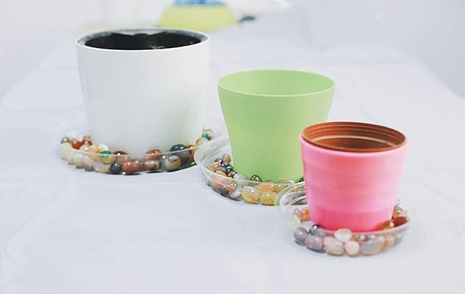 TRUEDAYS 6 Inch 5 Pack Clear Plant Saucers Flower Pot Tray Excellent for Indoor & Outdoor Plants