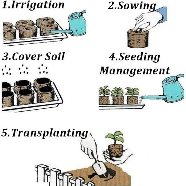100 Pcs Peat Pellets Seed Starting Plugs Pellets Seedling Soil Block Nursery Soil for Indoors Garden Flowers Seedling Planting Seeds Starter Pellet for Transplanting Planting (50mm)