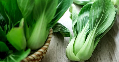 Seeds Chinese Cabbage Bok Choy - Heirloom Vegetable - GMO Free
