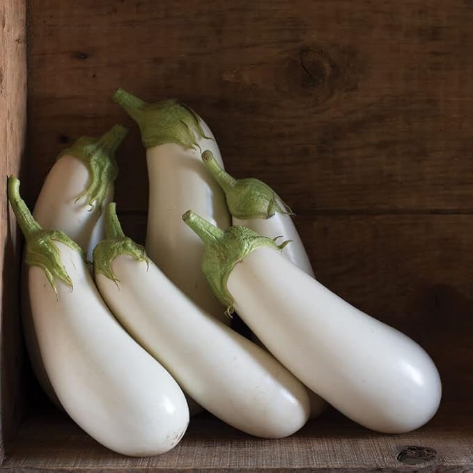 Seeds White Eggplant - Heirloom Vegetable - GMO Free