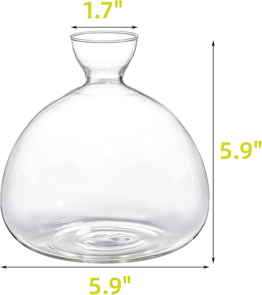 Hiceeden Avocado Seed Starter Vase Planter, Clear Avocado Tree Growing Kit Pot, Medium Avocado Vase Grow Glass Plant Pot Gift for Indoor Outdoor