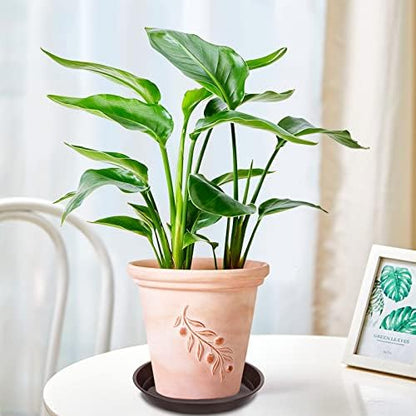 6 Pack of Plant Saucer 10 Inch, 10 inch Plant Saucer Round, Plastic Flower Plant Trays for Pots, Plant Saucers for Indoors 9", Plant Pot Saucers, Planter Tray for Planter 8-10" (10", Brown)