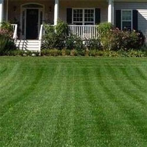 Outsidepride Combat Extreme Northern Zone - 50 Lbs Cold-Hardy, Drought-Resistant Turf Type Tall Fescue & Kentucky Bluegrass Lawn Grass Seed Blend, OptiGrowth Coated for Better Establishment