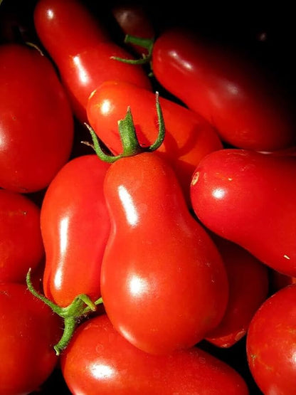 100PCS Red Pear Cherry Tomato Seeds Garden Vegetable Seeds