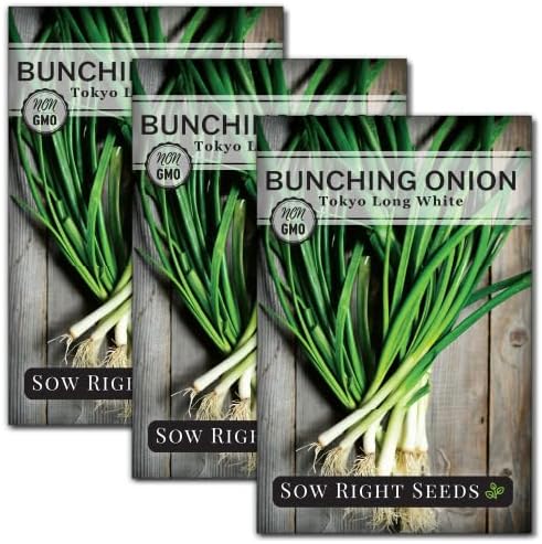 Sow Right Seeds - Tokyo Long White Bunching Onion Seeds for Planting - Perfect for Planting Outdoors or Indoors - Non-GMO Heirloom Green Onions - Easy to Grow for Gardeners - Tasty Flavor (3)
