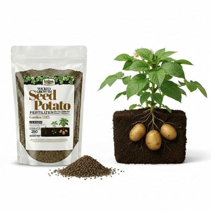 Old Cobblers Farm™ Wicked Growth Seed Potato Fertilizer-Strengthens Roots, Boosts Yields, and Supports Healthy Potato Growth with Eco-Friendly, Slow-Release Nutrients. (5/10/15/20 lbs) (15lbs)