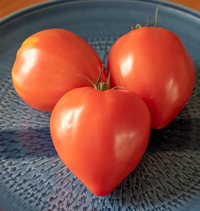 Seeds Red Beefsteak Tomato Giant Bulls Heart Determinate Non GMO Vegetable for Planting