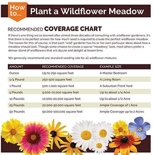 Non GMO Four O'Clock Mix Flower Seeds Mirabilis Jalapa (10 Lbs)