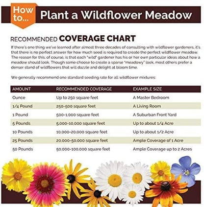 Non GMO Four O'Clock Mix Flower Seeds Mirabilis Jalapa (10 Lbs)