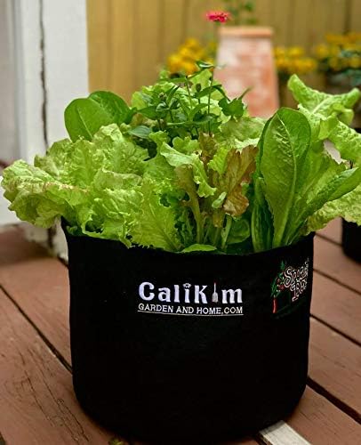 Smart Pots 15-Gallon Smart Pot Soft-Sided Container, Black