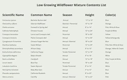 Seed Needs Low Growing Wildflower Flower Seeds for Planting | 5 Packs (1 Ounce Each) Mixture/Blend 17 Varieties | Resealable Package Multicolored Blooms Open Pollinated Mixed Species | Bulk