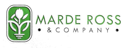 Rattlesnake Bean Seeds - 20 Large Bean Seeds - Marde Ross & Company ®