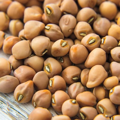 TomorrowSeeds - Top Pick Brown Crowder Cowpea Seeds - 50+ Count - for 2026 Planting Non-GMO USA Vegetable Pink Red Cowpea Field Pea Cover Crop Green Bean Grow Your Own Home Farm Patio Healthy
