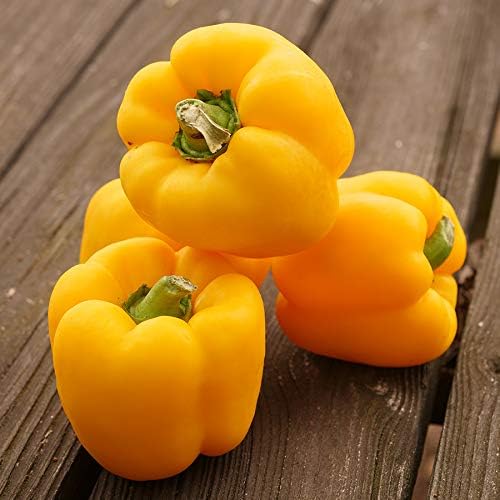Park Seed Sweet Pepper Vegatable Plant Seeds, Easy to Grow, Spring Garden, Whopper Hybrid Yellow, Pack of 15