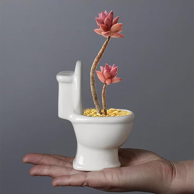 Cute Toilet Bowl Succulent Planter Pot with Drainage Tray, White Ceramic Cactus Flower Container, Small Funny Indoor Air Plants Holder