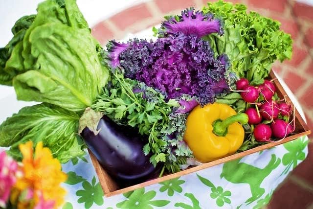 Set of 10 Assorted Vegetable & Herb Seed Packets - Create a Deluxe Garden Heirloom Seeds - 100% Non-GMO (10)