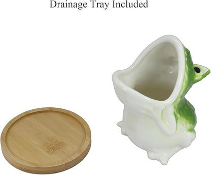 Cute Frog Succulent Planter Pot with Drainage Tray, Small Ceramic Cactus Flower Container, Funny Animal Shaped Indoor Air Plants Holder