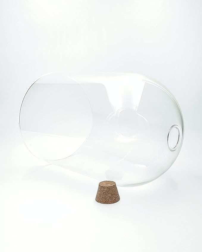 Handblown 7" Glass Terrarium with Opening for Air Flow & Cork Stopper Cloche Style Glass Dome Vivarium Display Case (Small)