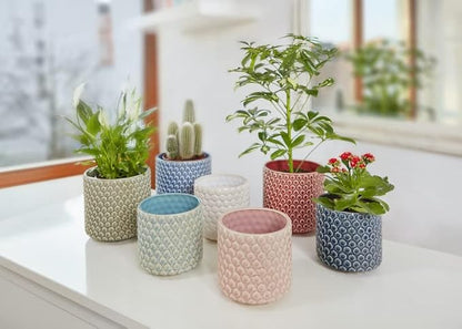 Bloomingville Stoneware Flower Pot with Polka Dots - Petrol Planter for Succulents Plants, Colorful, 5"