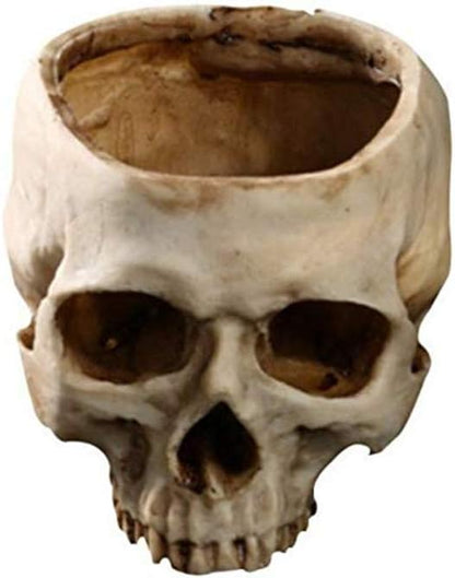 RMM Halloween Decoration Retro Human Skull Head Flower Pot Planter Bed Box Container Replica Home Bar Décor,Clear