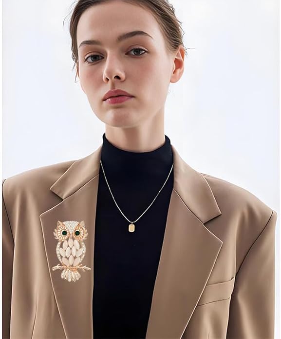 Rhinestone Owl Brooch Pin for Women Cute Big Cartoon Cat Eye Stone Owl Bird Brooch Unique Double Owl Brooch Pin Clothes Bag Hat Dress Jewelry