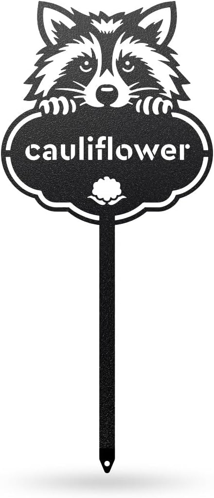 RealSteel Rocky the Raccoon Plant Markers – Cute Metal Garden Labels for Herbs & Vegetables | Outdoor Steel Plant Stakes for Garden, Greenhouse & Raised Bed | Gardening Gift | USA (CAULIFLOWER-B-6X13)