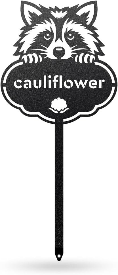 RealSteel Rocky the Raccoon Plant Markers – Cute Metal Garden Labels for Herbs & Vegetables | Outdoor Steel Plant Stakes for Garden, Greenhouse & Raised Bed | Gardening Gift | USA (CAULIFLOWER-B-6X13)