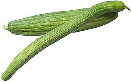 Armenian Yard Long Cucumber Seeds - 150+ Seeds